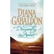 Dragonfly in Amber