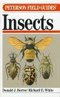FG INSECTS CL (Peterson Field Guide Series, 19)