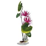 Water Lily - Red - 11 in.