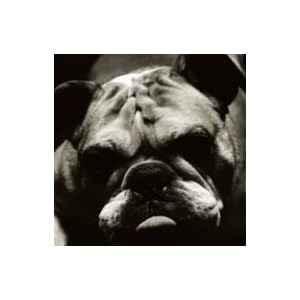 Everything You by Charcoal Filter (Audio CD - 2007) - Import