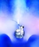 Garden Water Features & Outdoor Fountains item: Ornamental Fogger