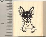 Toy Fox Terrier Dog Rubber Stamp - Wood Mounted