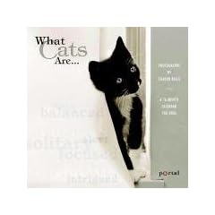 What Cats are ... 2006.