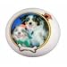 YOUR PHOTO Pet Ball 3