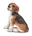   - Beagle Model Animal by Schleich