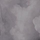 Master Series Northern Sky 10 x 12 (3 x 4m) Muslin Background