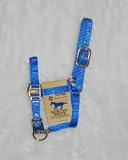 Dlux Foal Mini Avj Hltr Blu