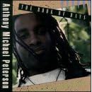 Book of Days by Michael Peterson