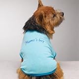 Casual Canine Mama