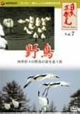 「日本再発見」 VOL.7~野鳥~