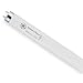 Fluorescent Linear Lamp, T8, Neutral, 3500K, Min. Qty 25 (25 pieces)
