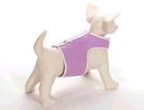 Dog Harness Vest Small/Med