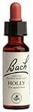 Holly 20 ml (Ilex aquifolium) - Bach Flower Essences