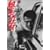 �V �m�`�Ȃ��킢 �g���̎� [DVD]