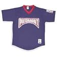 Minor League Baseball Piedmont Boll Weevils Adult V Neck Jersey