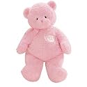 Large My First Teddy Bear - Pink