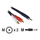 12ft 3.5mm to 2-RCA Cable