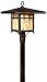 Asian Oak Knoll Outdoor Lighting BY Troy Lighting