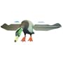 TruMotion Lucky Drake Combo Pack