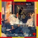 Arte Flamenco, Vol. 13
