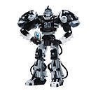 PRO-BOTS #20 DARREN McFADDEN RAIDERS SERIES 2