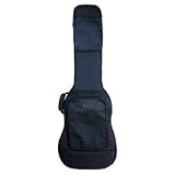 Bass Guitar Bags & Cases