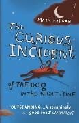 Childrens Toyshop  Books : The Curious Incident of the Dog in the Night-time
