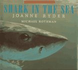 Shark in the Sea (Just for a day)