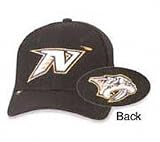 Nashville Predators Altrast 39Thirty Cap Size Medium/Large