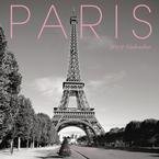 Paris 2009 Mini Wall Calendar