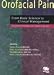Search : Orofacial Pain: From Basic Science to Clinical Management: The Transfer of Knowledge in Pain Research to Education