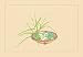 Reed and Pond Lily - Paper Poster (18.75 x 28.5)