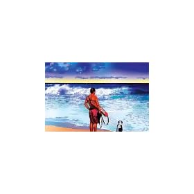 1000�s�[�X �T���f�B�[�r�[�`�̃��C�t�K�[�h (50cm�~75cm�A�Ή��p�l��No.10)