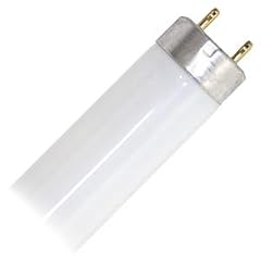 Osram Leuchtstofflampe L 36 Watt 865