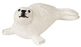 21AE8E44QHL. SL160  Harp seal pup, Wild Safari
