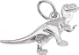 Rembrandt Charms Dinosaur Charm, Sterling Silver