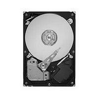 Seagate Maxtor DiamondMax 22 - Festplatte - 160GB - intern - 8,9 cm (3,5) - S-ATA2 - 7200 U-min - Puffer: 8MB (STM3160813AS) Seagate 