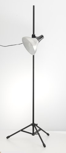 Daylight Studio Lamp With Tripod