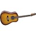 Seagull Artist Series Studio Dreadnought 12-String Acoustic Guitar with Deluxe Case (Sunburst)