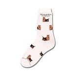 Yorkie Poses Socks