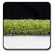 Synthetic Putting Green - 5/8 Nylon, 42 oz. Putting Green Kit [60' x 15' Roll = 900 Sqft]
