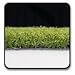 Synthetic Putting Green - 1/2