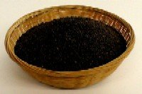 Organic Sprouting Seeds China Rose Radish 16 Ounces by The Sprout House