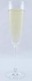 6 Schott Zwiesel CLASSICO 7 oz Champagne Flutes Glasses