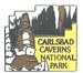 Carlsbad Caverns National Park Pin