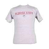 Florida State Seminoles Nike Youth Short Sleeve T-shirts - Football Practice