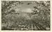 BANNING CA California almond grove agriculture Frasher RPPC