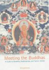 Meeting the Buddhas: A Guide to Buddhas, Bodhisattvas and Tantric Deities