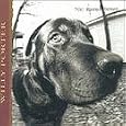 Dog Eared Dream [CASSETTE]