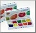 Jelly Belly Gift Box - Sugar-Free 10-Flavor - 4.25 oz